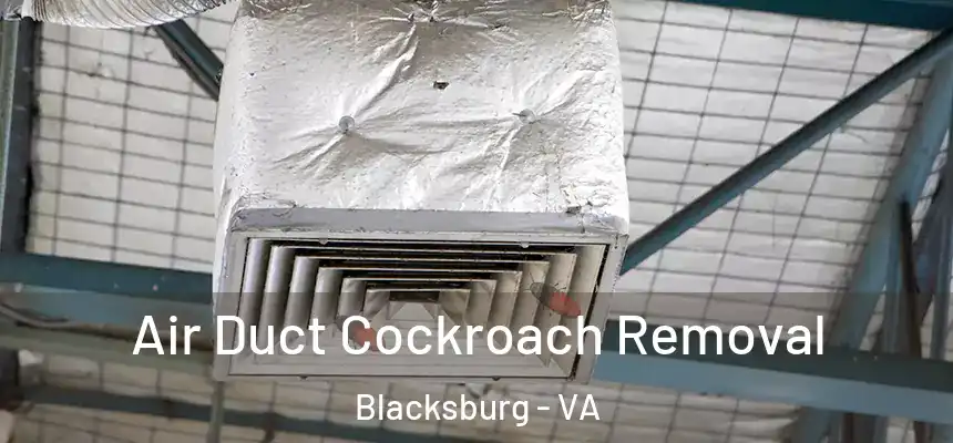 Air Duct Cockroach Removal Blacksburg - VA