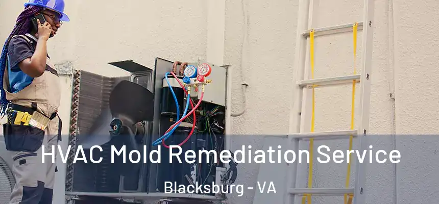 HVAC Mold Remediation Service Blacksburg - VA
