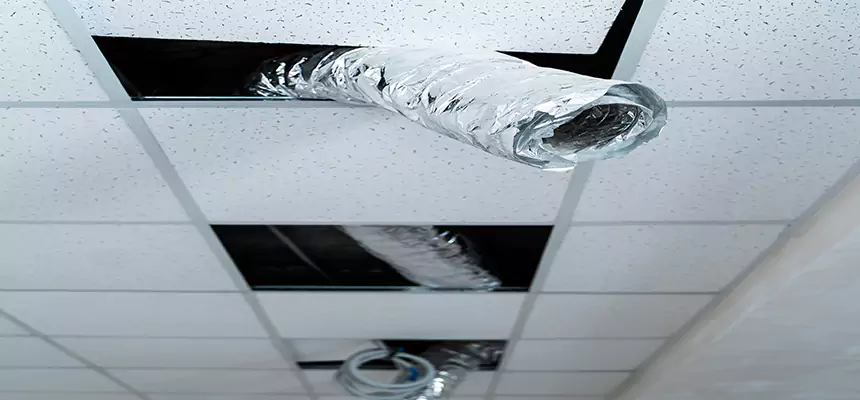 Affordable HVAC Sanitizing After Pest Removal in Blacksburg