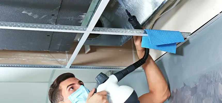 Our Air Duct Rodent Removal Services in Blacksburg, VA