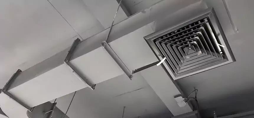 Restorative Allergy Relief Vent Cleaning – Coil, Blower & Housing Detail in Blacksburg