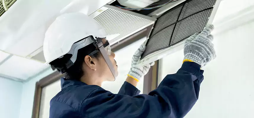 Our Mold & Mildew Removal from Air Ducts Services in Blacksburg, VA