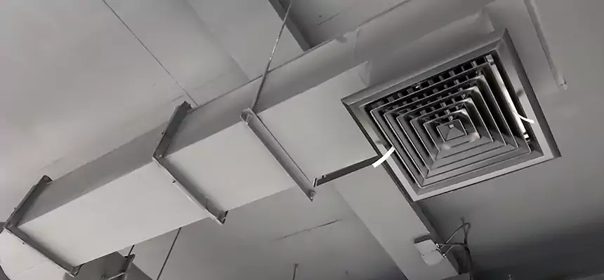 Our Pest Removal From Ducts Services in Blacksburg, VA