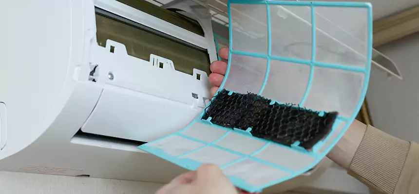 Gentle Ductwork Odor-Control Pet Dander Duct Cleaning in Blacksburg, VA