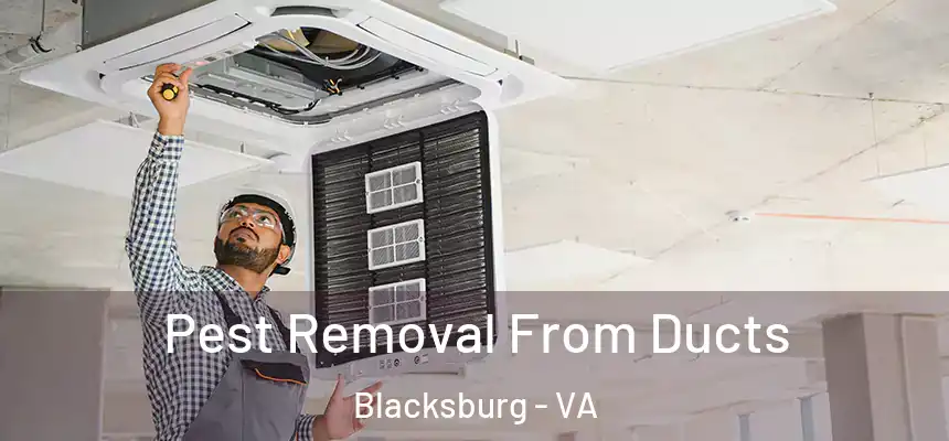 Pest Removal From Ducts Blacksburg - VA