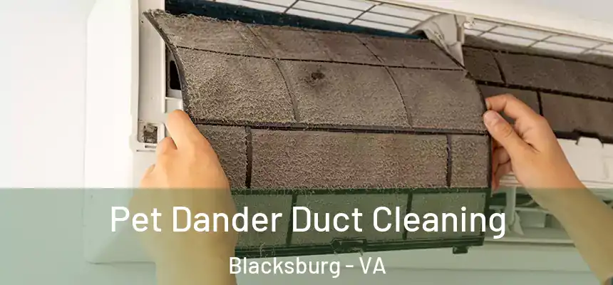 Pet Dander Duct Cleaning Blacksburg - VA