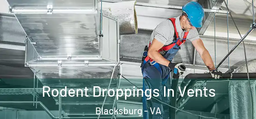  Rodent Droppings In Vents Blacksburg - VA
