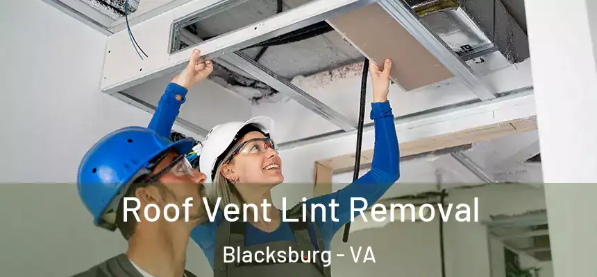  Roof Vent Lint Removal Blacksburg - VA