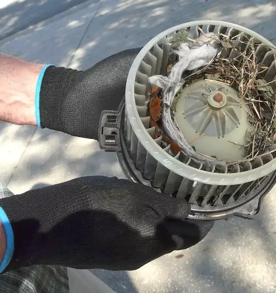 About Air Duct Rat Removal in Blacksburg, VA