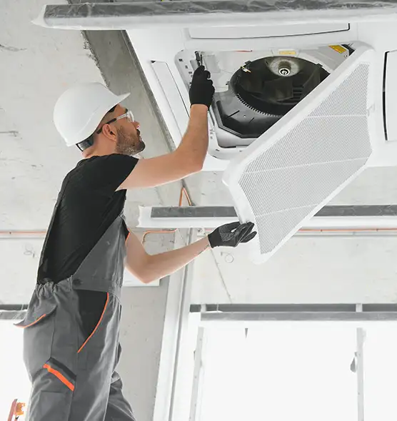 About Air Duct Rodent Removal in Blacksburg, VA