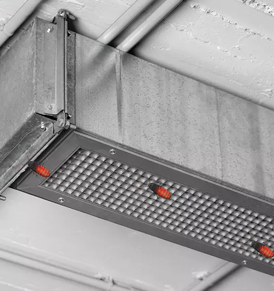 Affordable Insect Removal from Air Ducts in Blacksburg, VA