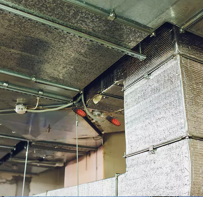 Why Homeowners & Businesses Trust Us in Blacksburg, VA?