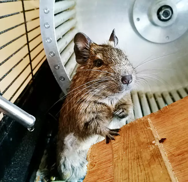 Why Homeowners & Businesses Trust Us Blacksburg, VA?